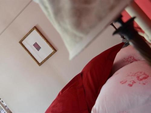 Le Petit Chou Otel Entraygues-sur-Truyère Dış mekan fotoğraf